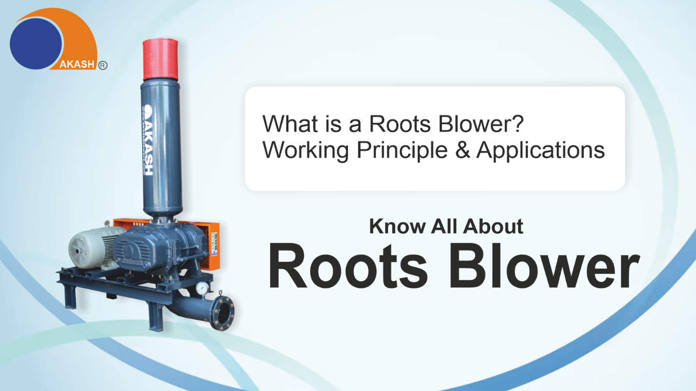 Roots Blower