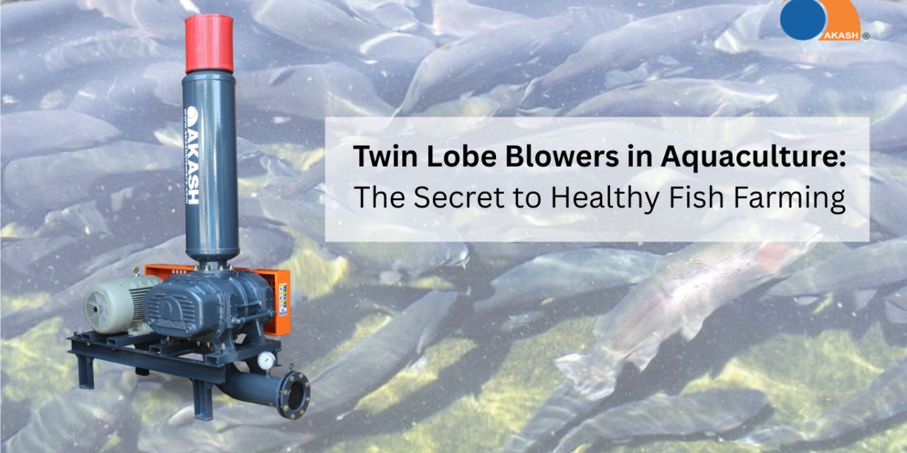 Twin Lobe Blowers in Aquaculture: The Secret to Healthy Fish Farming