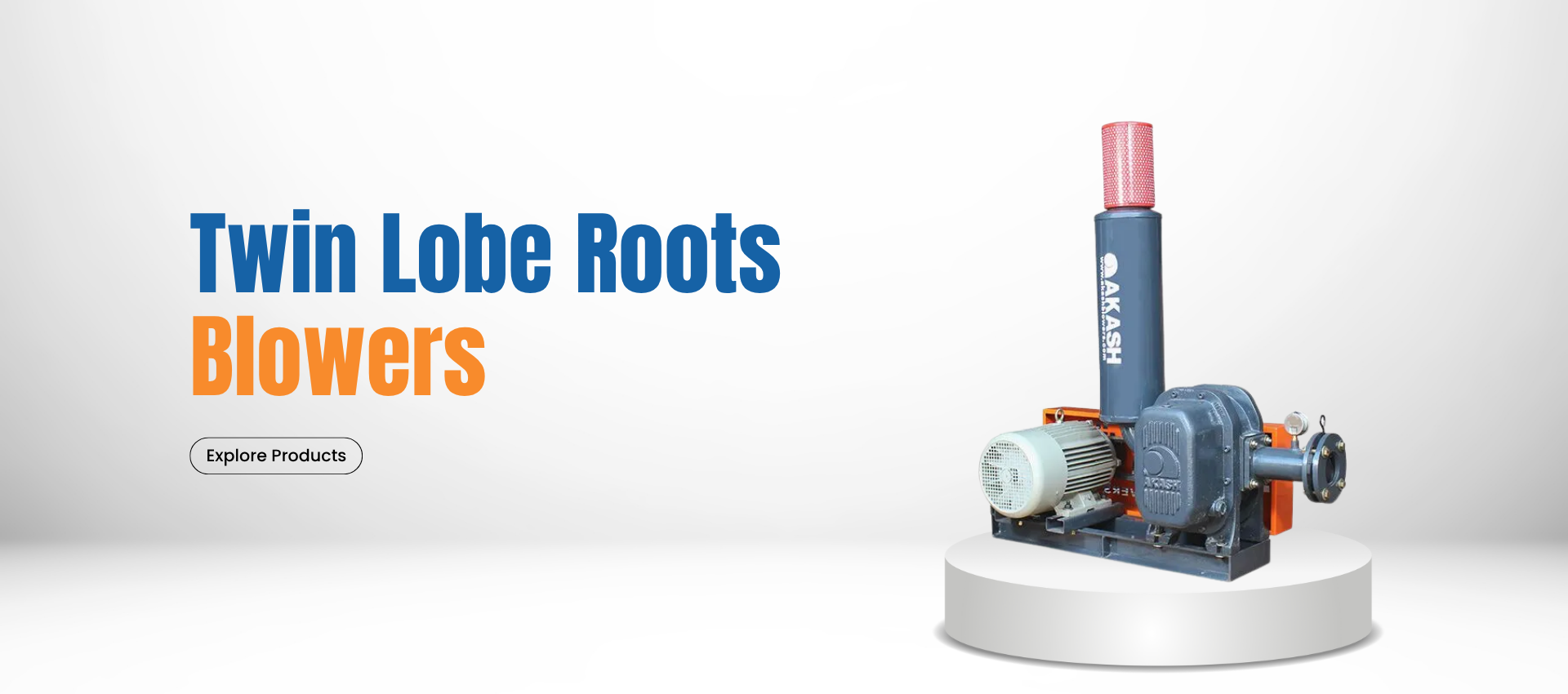 Industrial Roots Blower (2)