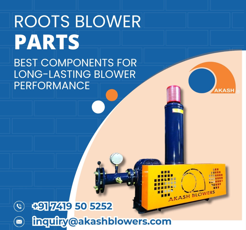 Roots Blower parts
